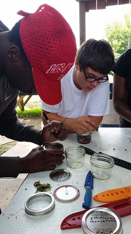 Teens making herbal salves on outdoor table