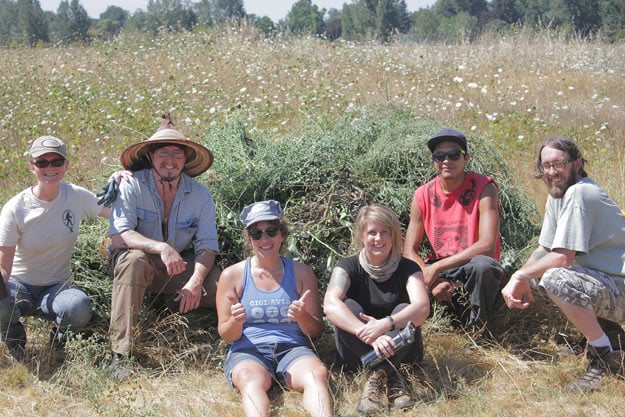 Mountain Rose Herbs - Butterfly Meadow Restoration