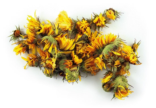 Basic Botany: Sunflower Family
