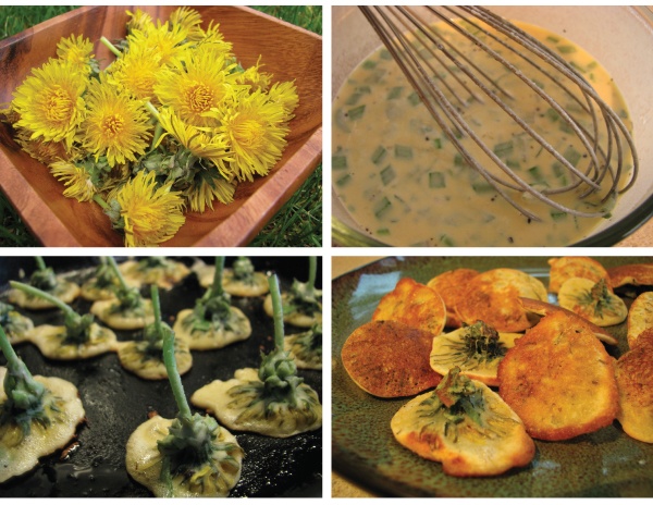 Dandelion Fritters Recipe