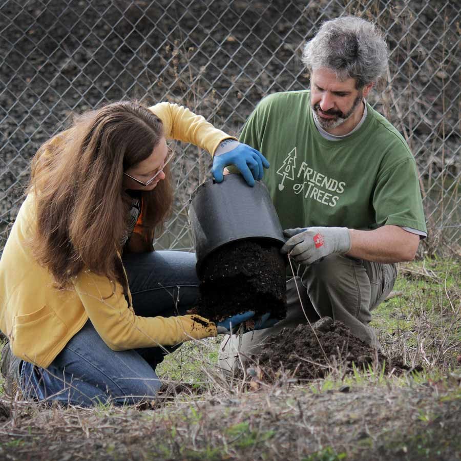 Tree Planting 