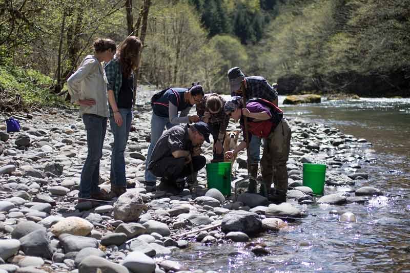 Group of Mountain Rose Herbs Volunteers Observing Salmon 