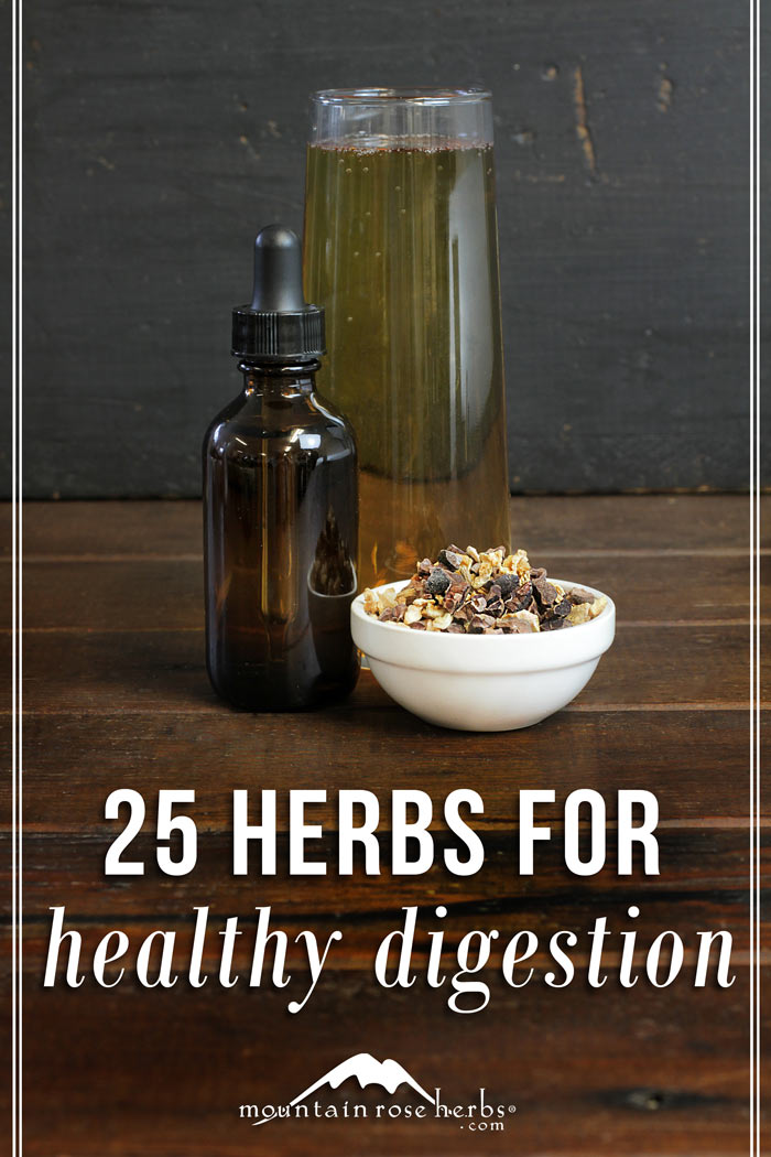Herbs for Healthy Digestion 3 Simple Recipes