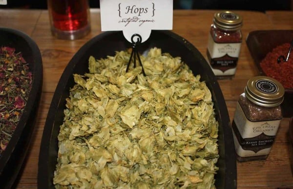 Organic Hops from Mountain Rose Herbs