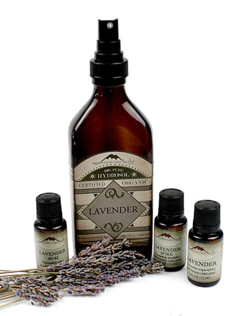 A Closer Look at Lavender Essential Oil Varieties