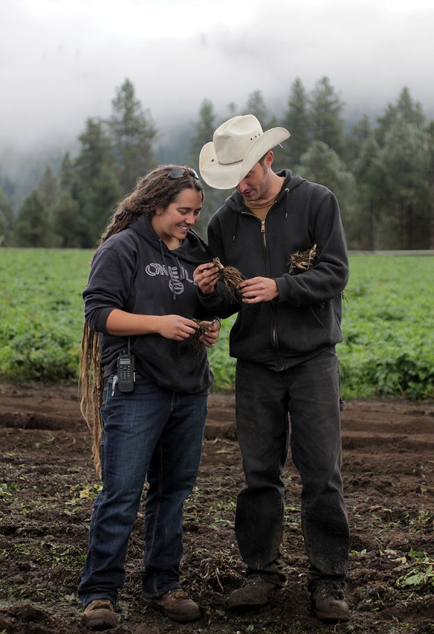 Root Harvest - Mountain Rose Herbs