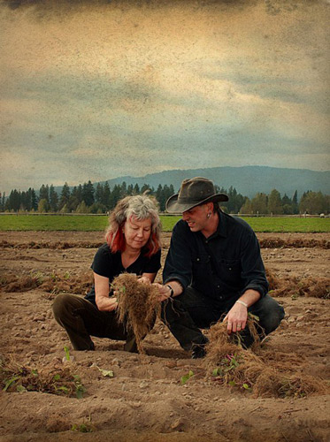 Shawn Donnille and Julie Bailey inspecting Echinacea root quality at our organic Northern Farm