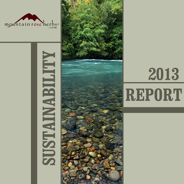 2013 Sustainability Report