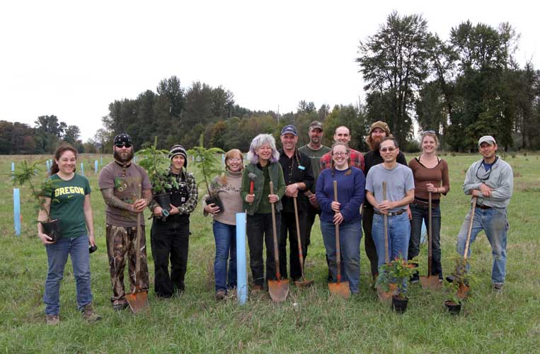 treeplanting