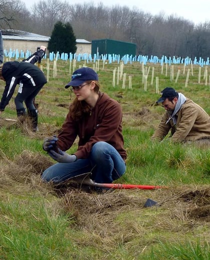 treeplanting1