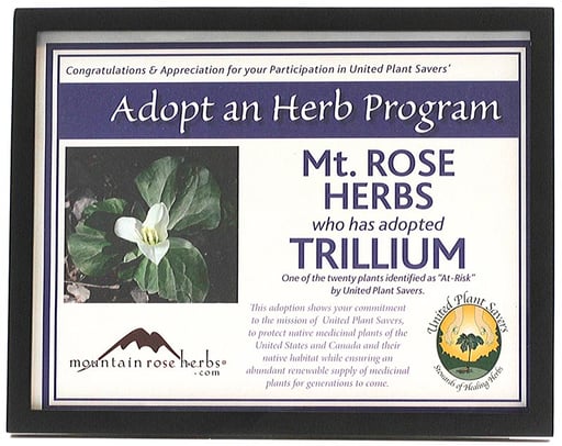 Mountain Rose Herbs adopted the trillium flower.