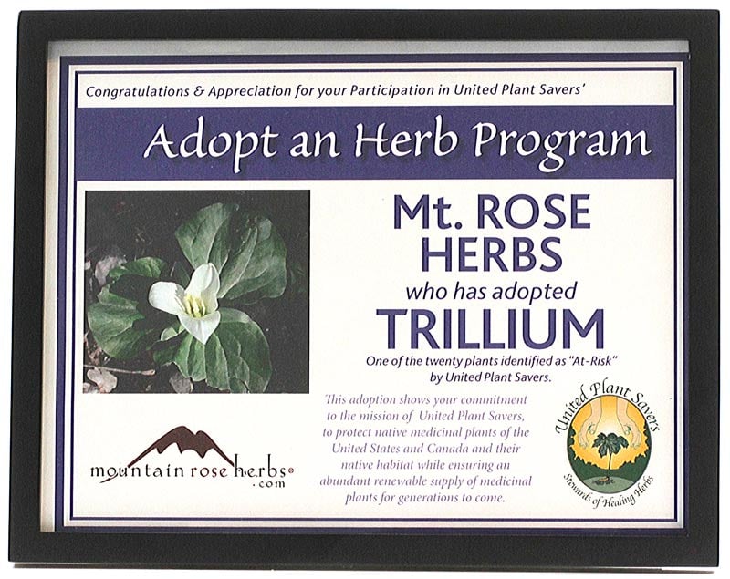 Herb Stories: Working to Protect Trillium 