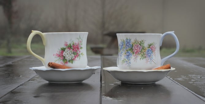 vintage tea cups long v