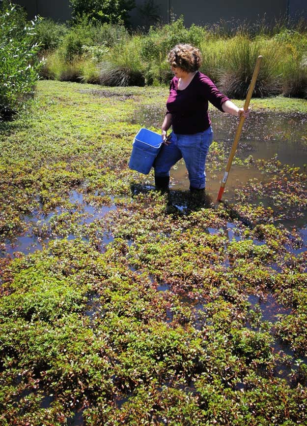 Stormwater Management