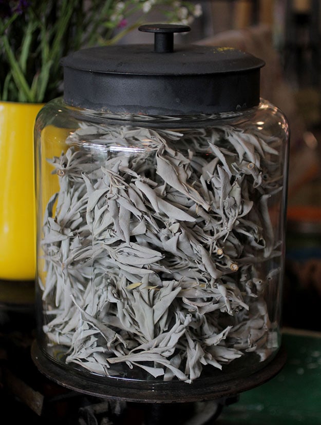 Wild Carrot Herbal Tour - Mountain Rose Herbs