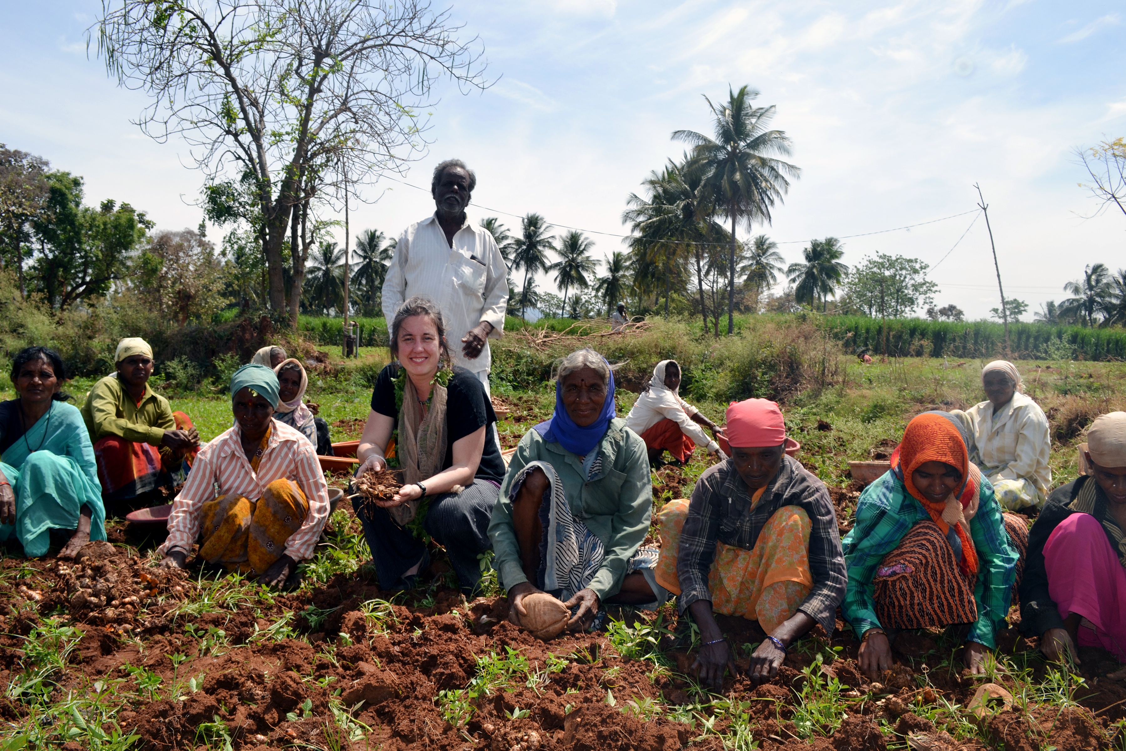 Group of people in India with colorful clothing working in a field. 