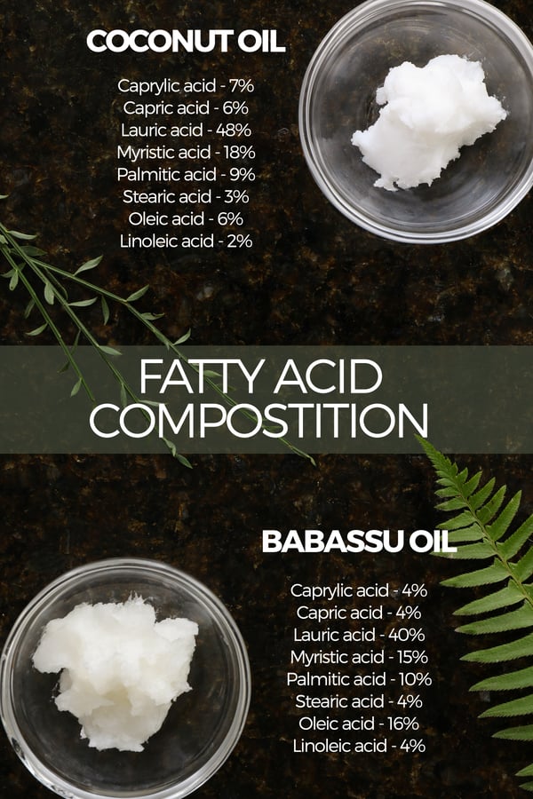 InfoGraphic comparing fatty acid composition of coconut oil and babassu oil