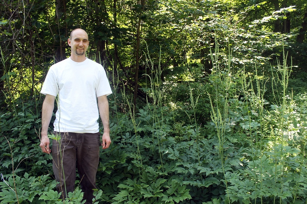 farms liaison and procurement officer standing in forest of black cohosh