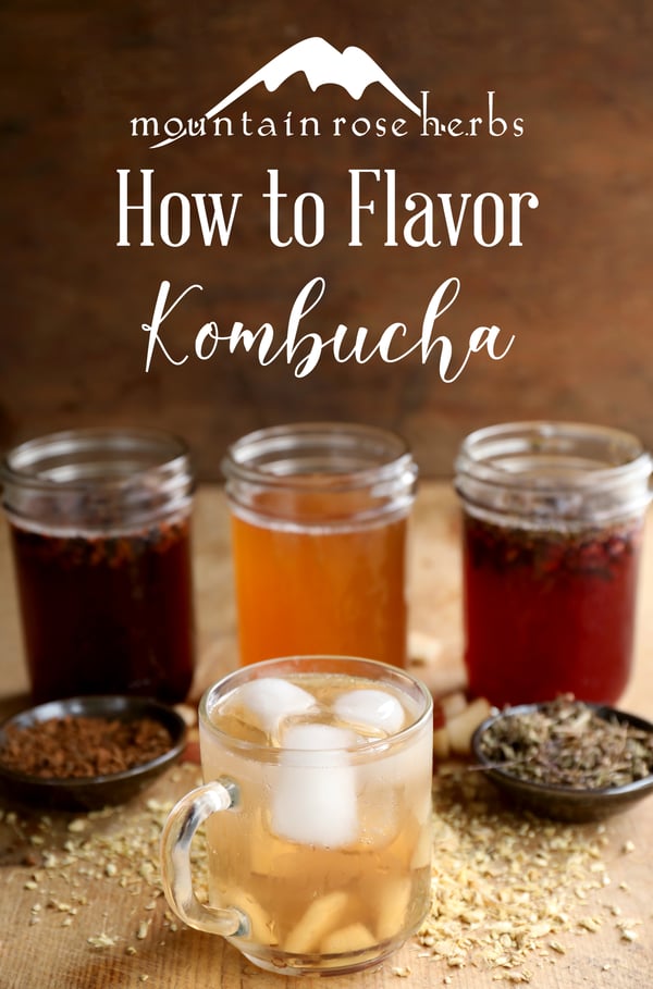 Pinterest link to Mountain Rose Herbs. An assortment of flavored kombucha in glass mason jars with dried herbs and spices. Iced kombucha in a clear mug. 
