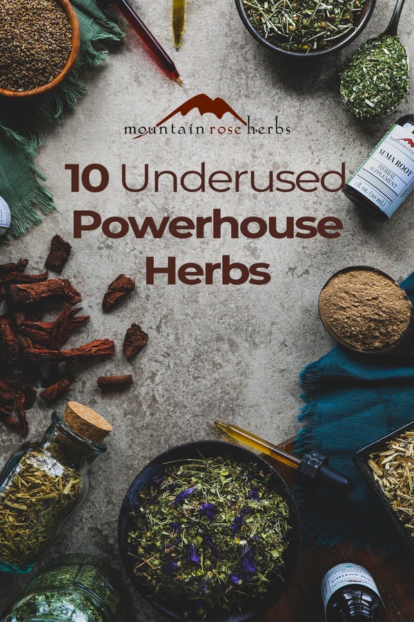 Pinterest Image to Lesser Known Powerhouse Herbs 