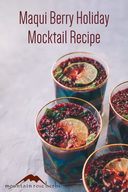 Holiday cocktails, or mocktails without alcohol, made with organic maqui berries and bilberries in trendy glass jars with gold rims and garnished with pomegranate seeds, fresh lime wheels, and cranberries.