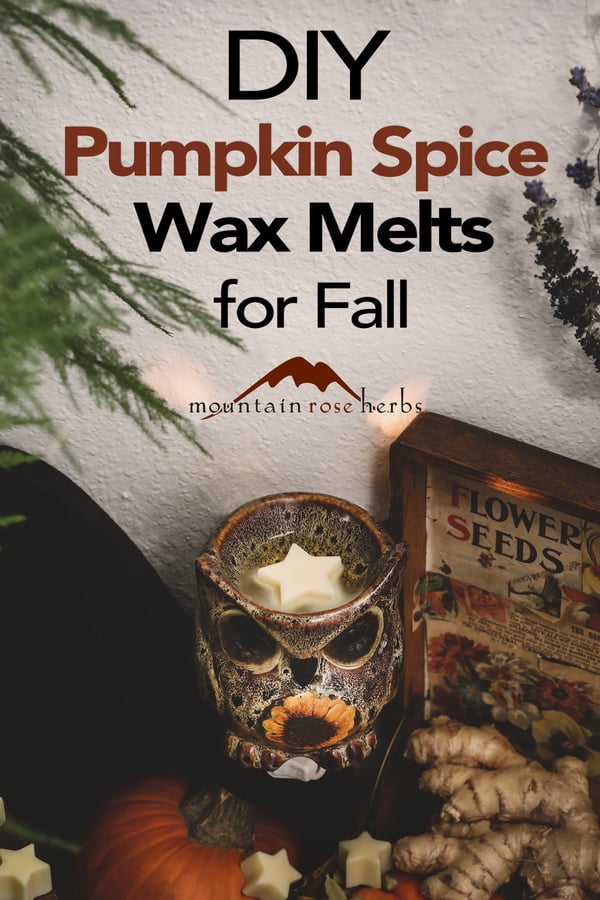 Pinterest image for DIY Pumpkin Spice Wax Melts