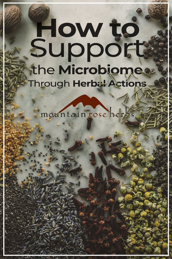 Link to Pinterest- How to Support the Microbiome through Herbal Actions