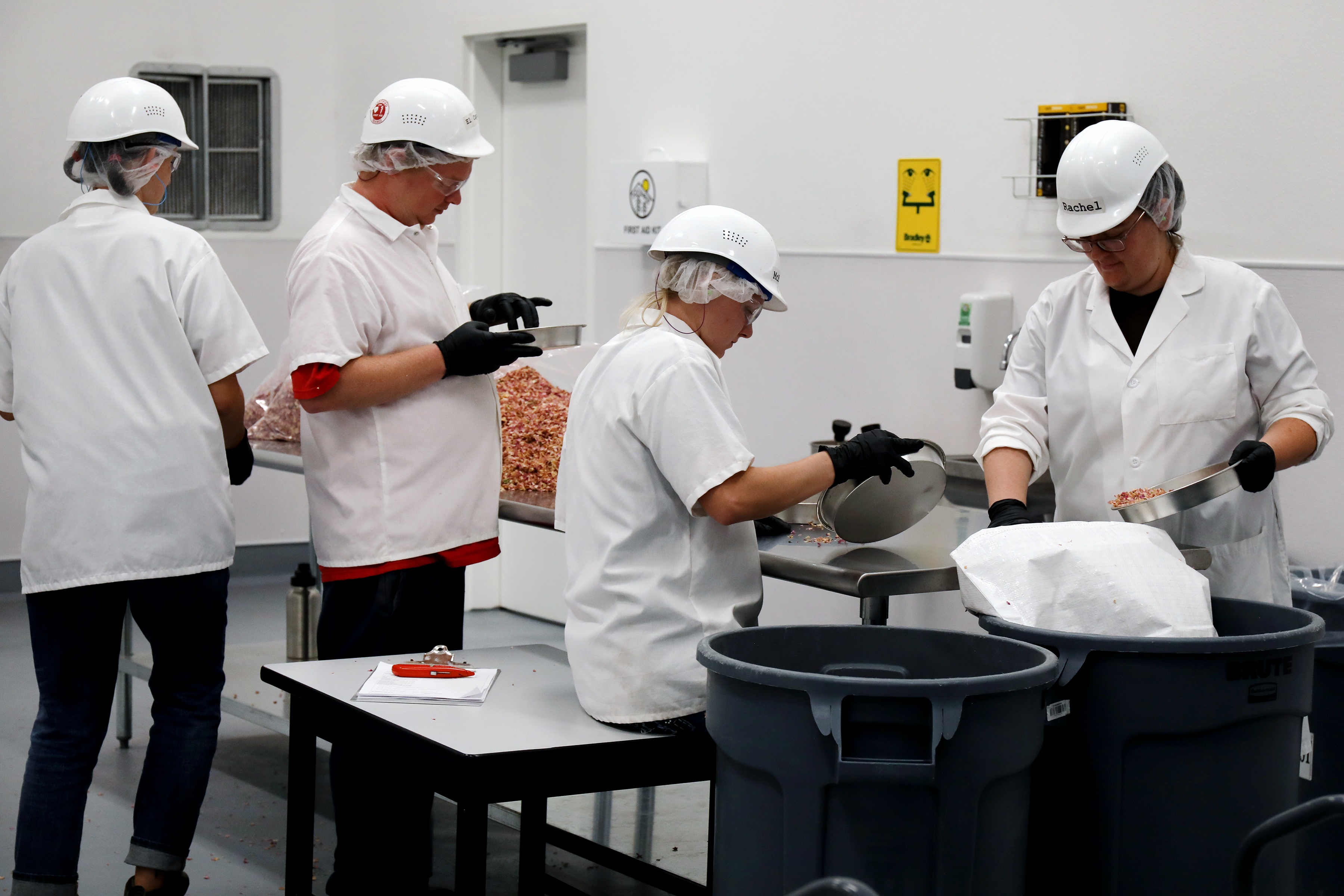 Workers handling herbs with hard hats on and lab coats. 