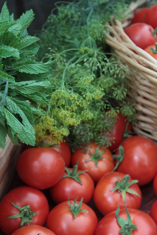 Fresh mint leaves, fresh fennel sprigs, and fresh red tomatoes in wicker baskets at farmers markets