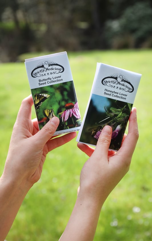 Hands holding seed packets in front of grassy field