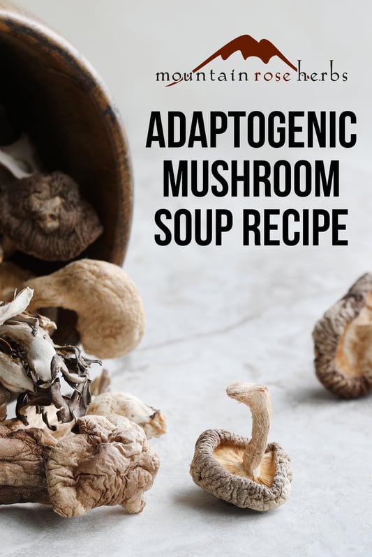 Adaptogenic Mushroom Soup Recipe Pin