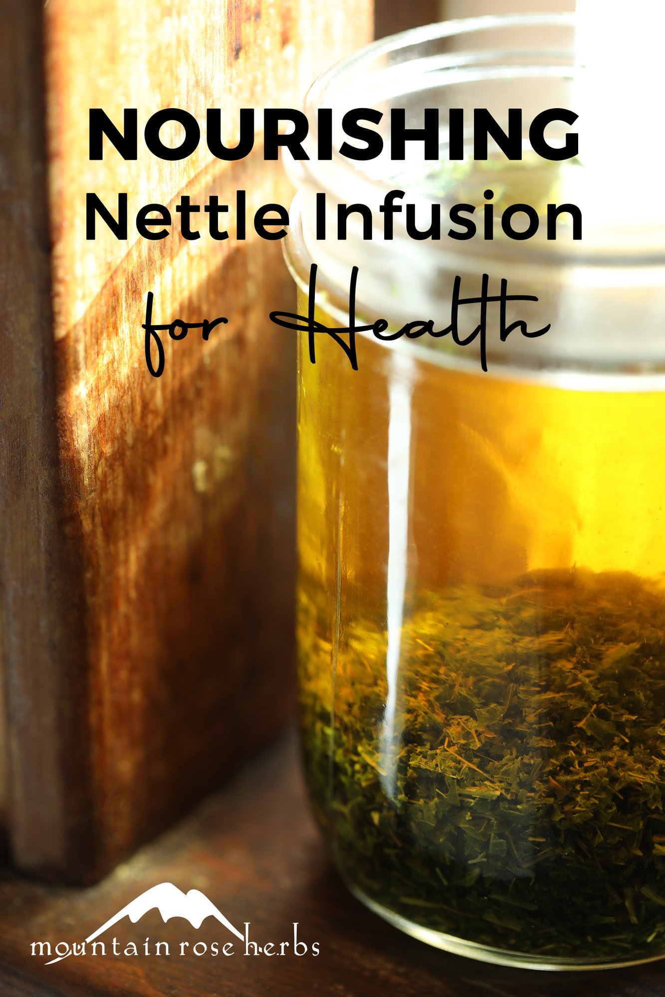 Organically Grown Stinging Nettle + Nutritious Infusion Recipe