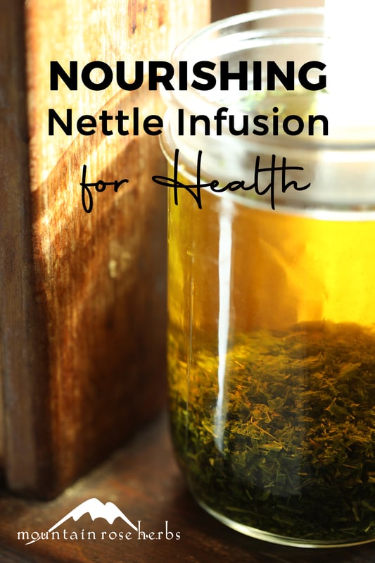 Nettle Infusion — Botanical Formulations