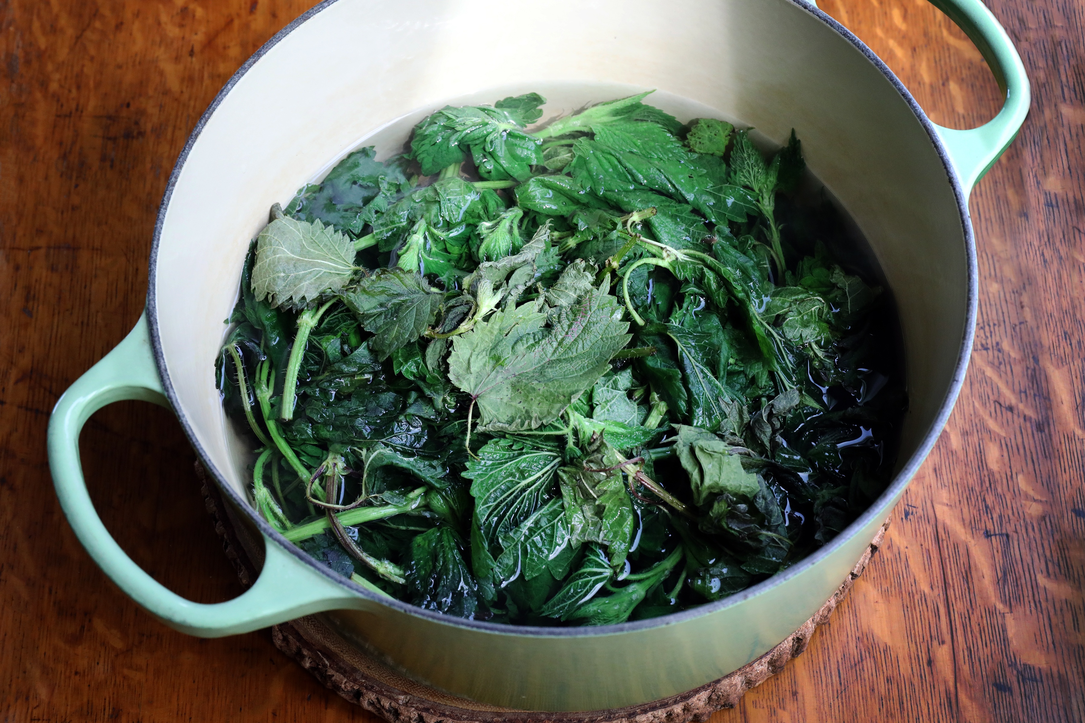 Pot soaking nettle leaf in hot water to blanch them