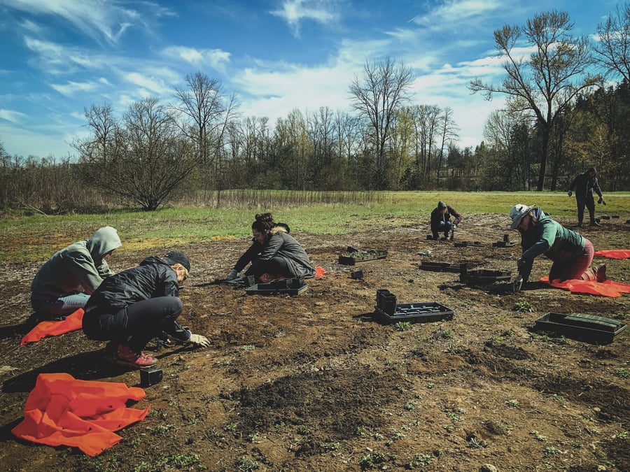 Mountain Rose Herbs employees participating in riverside habitat restoration. 