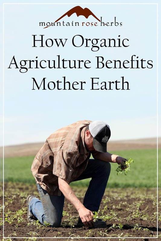 Pin to How Organic Agriculture Benefits Mother Earth