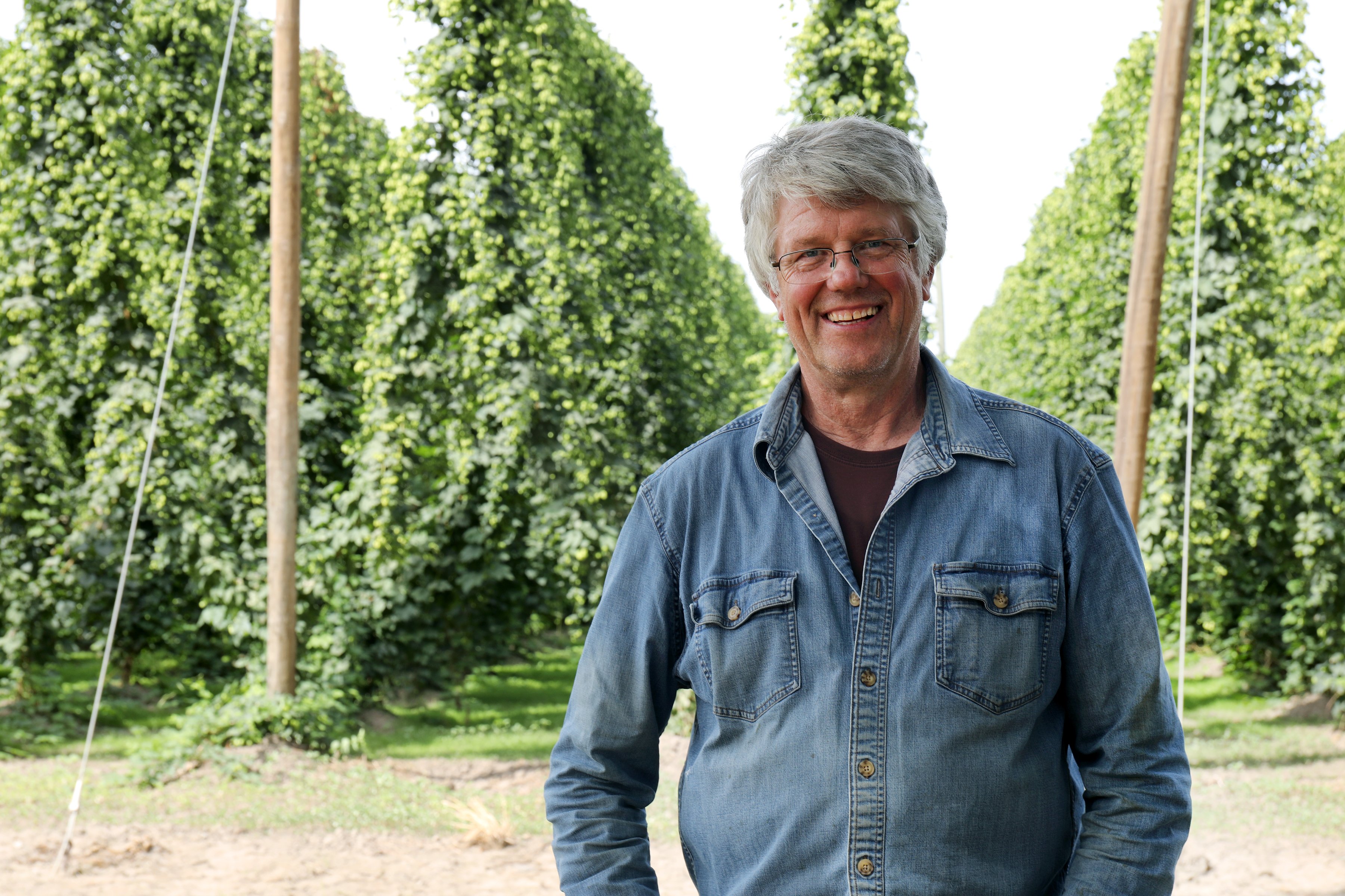 Older male farmer in denim shirt stands smiling in front of rows of hop vines ready to be harvested.