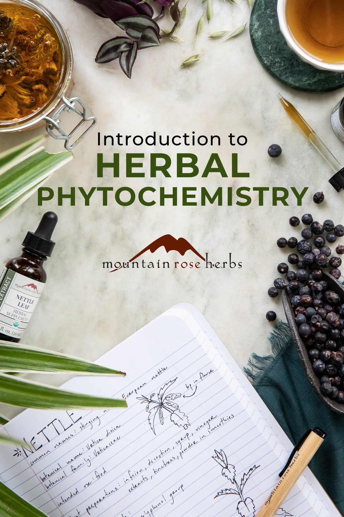 Phytochemistry For Beginners Constituent Groups and the Menstrua That