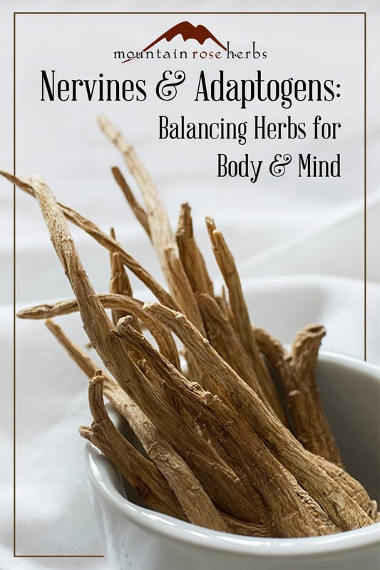 Nervines and Adaptogens: Balancing Herbs for Body and Mind Pin