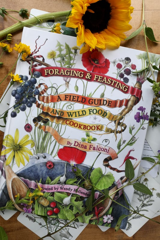 Foraging and Feasting guide for finding wild food book laying out on desk