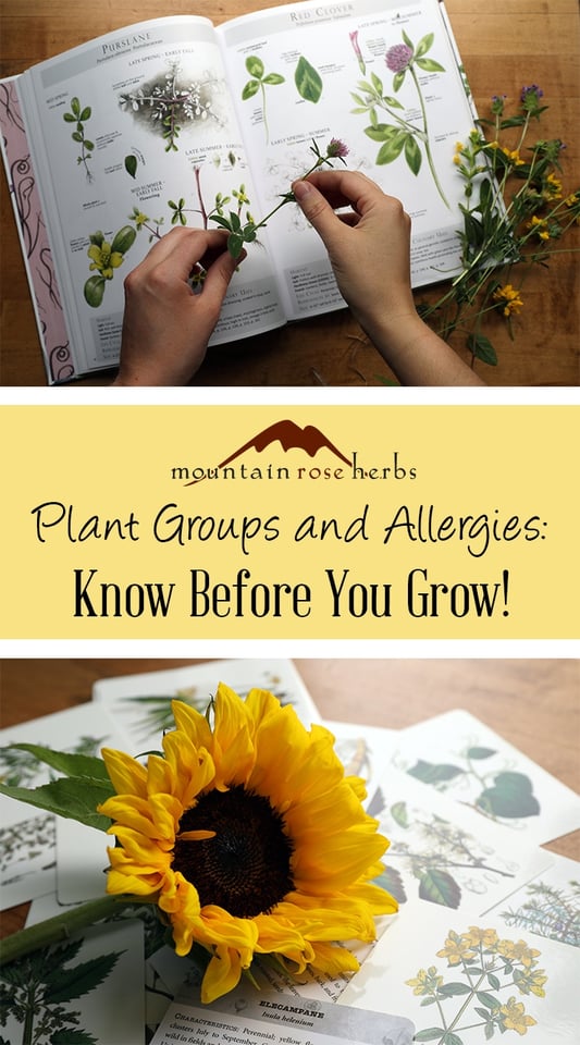 Making Educated Plant Choices: Plant Families and Allergens Pin