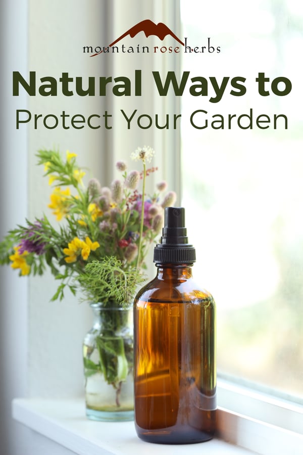 Natural Ways to Protect Your Garden Pinterest pin from Mountain Rose Herbs