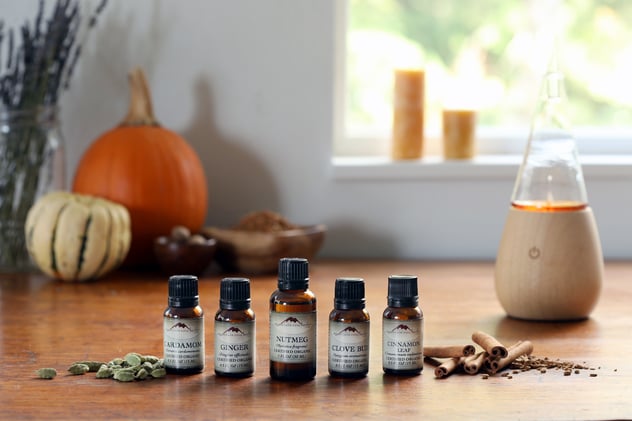 Essential oils, herbs, and diffuser on wooden table with pumpkins