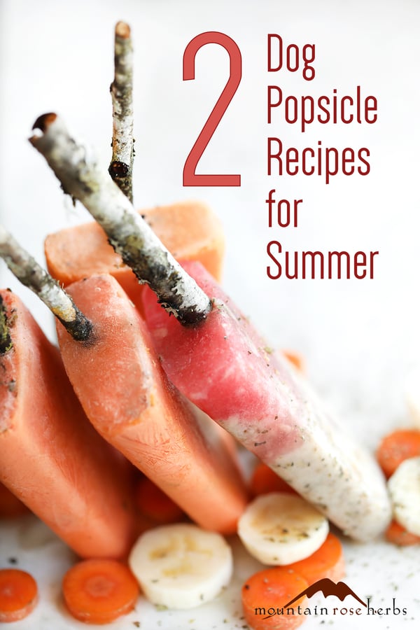 Puppy Popsicle Pinterest pin from Mountain Rose Herbs
