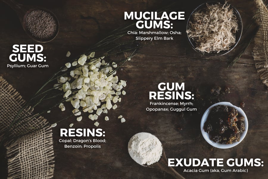 An infographic chart showing examples of gums, resins, and gum resins.