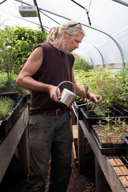 Richo Cech watering seedling plants in his greenhouse in Southern Oregon