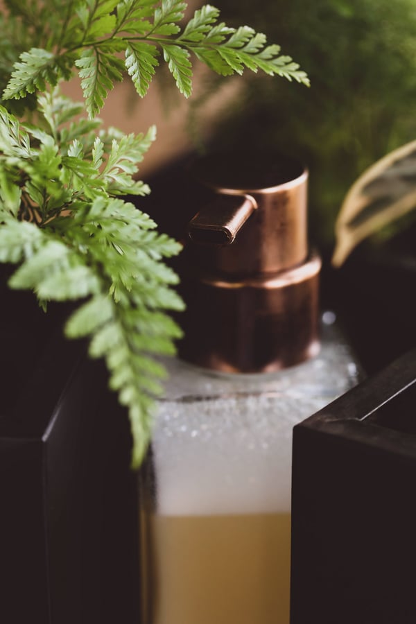 Rustic glass bottle with live plants