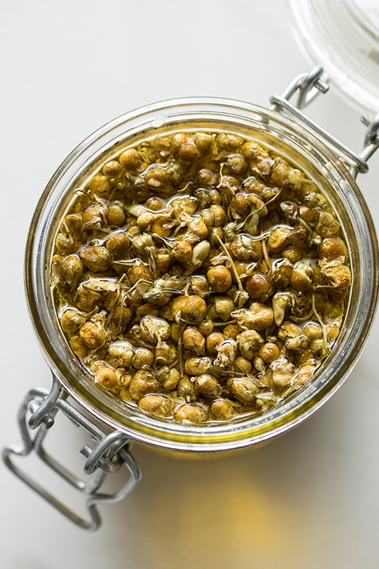 Chamomile infusing into oil