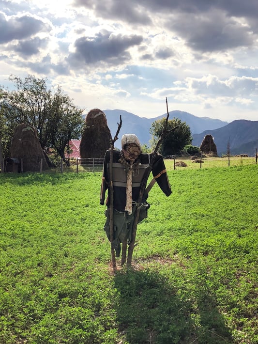 Scarecrow in green field in Albania with haystacks behind.
