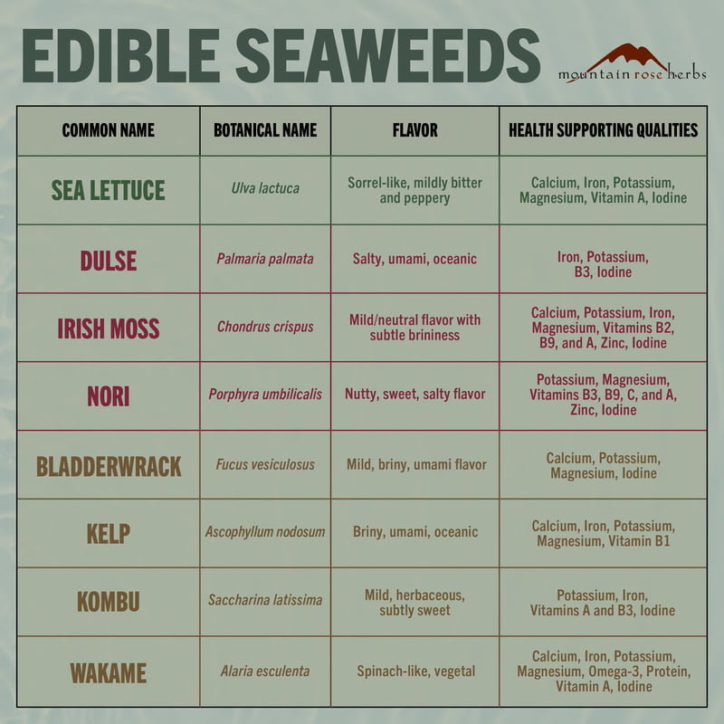 A green square infographic detailing the differences between 8 edible seaweeds. Text can be found at bottom of blog.